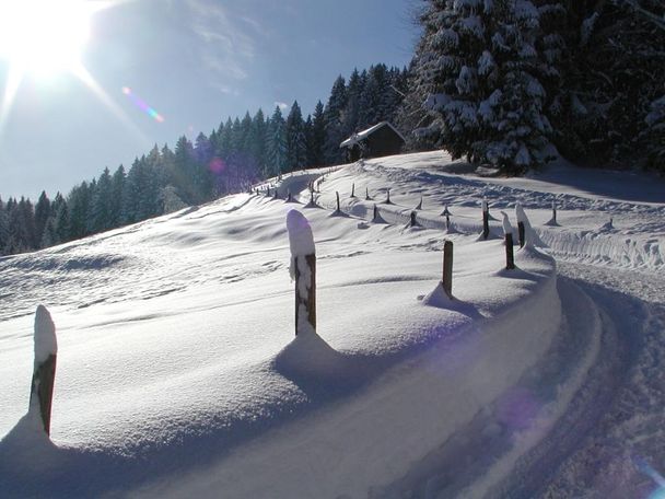Premium-Winterwanderweg Kapfwald-Runde