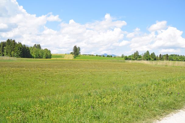 Wanderweg bei Füssen im Allgäu