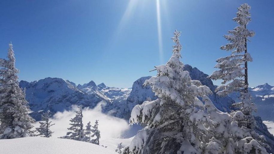 Blick vom Breitenberg ins Tannheimertal