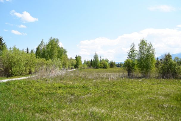 Wanderweg im Allgäu