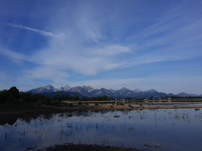 Forggensee mit Alpenpanorama