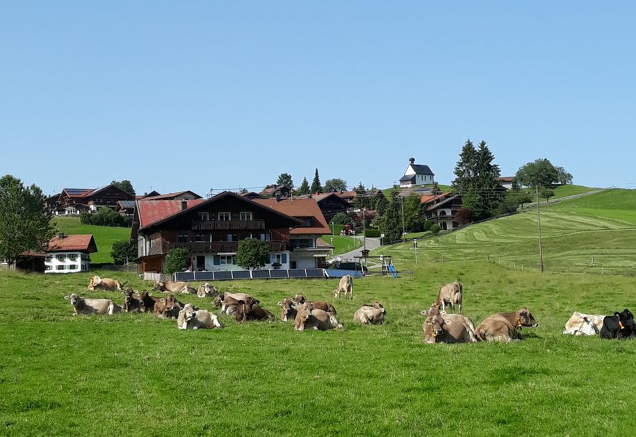 Alpen-Glühen sommer