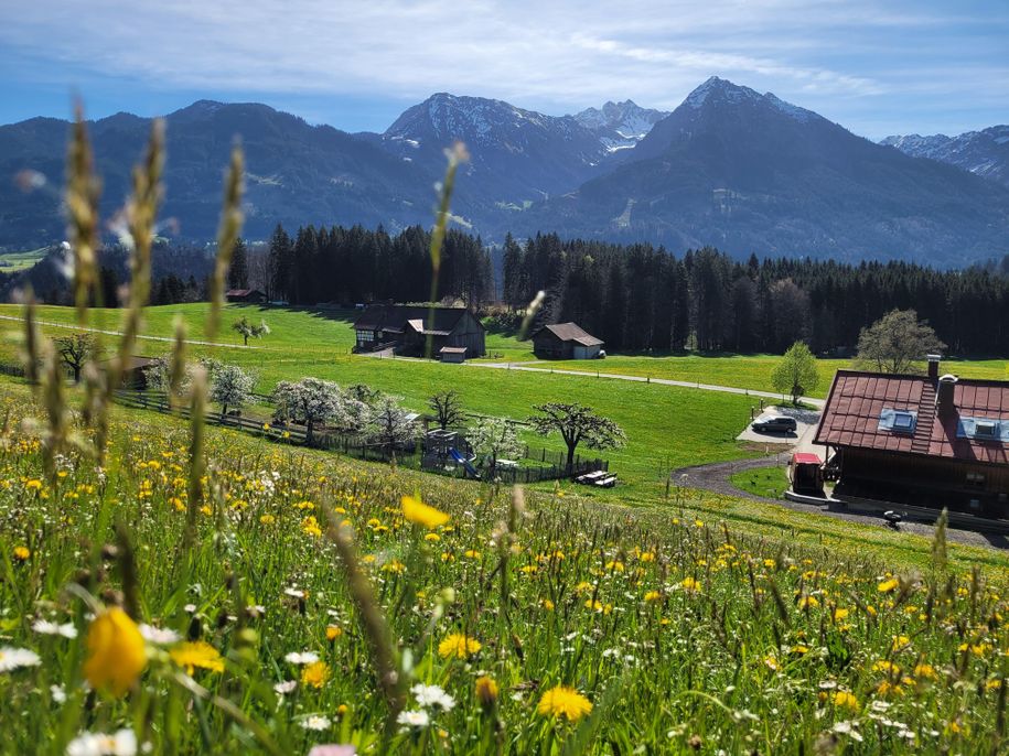 Aussicht Haus und Spielplatz