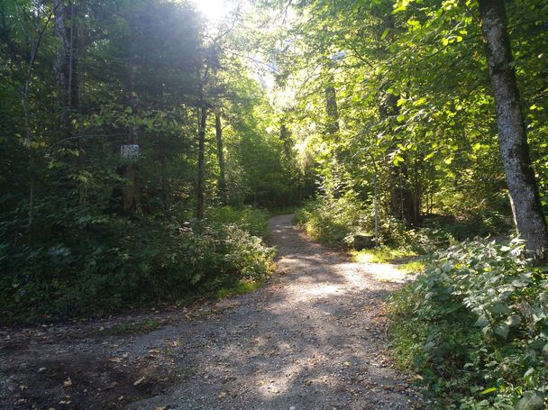 Wanderweg abseits der Massen zur Bushaltestelle Marienbrücke