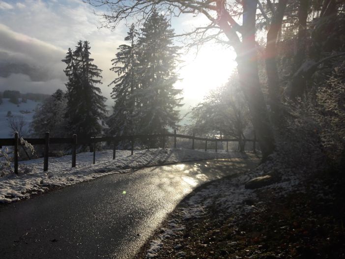 Weg von Schlossbergalm- Schabel Eva