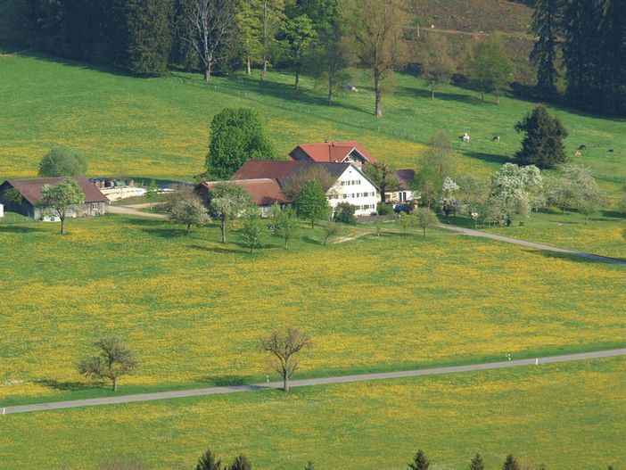 Blick auf den Schleifertobelhof