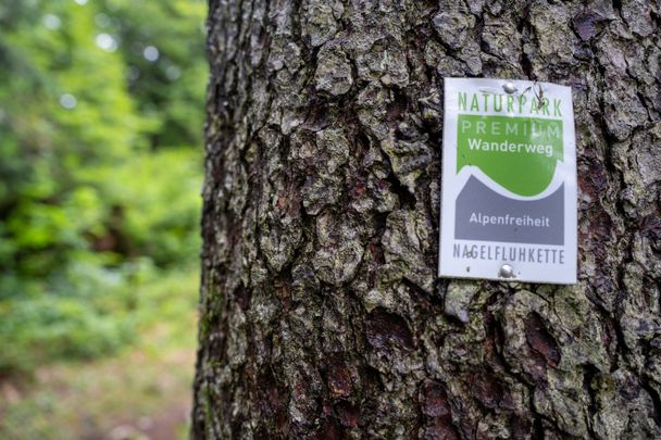 Auf dem Premiumwanderweg "Alpenfreiheit"