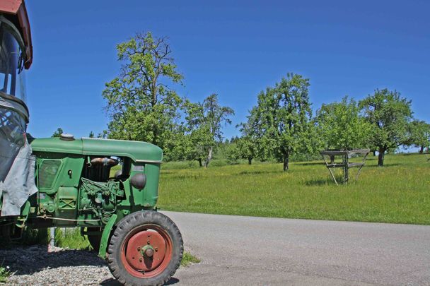 Streuobstwiese in Obernützenbrugg