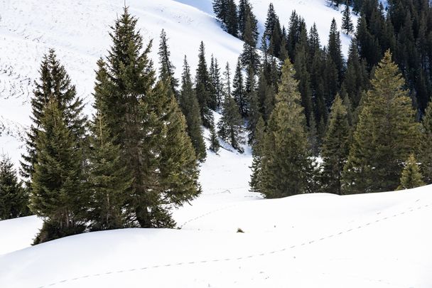 Winterliche Bergwelt