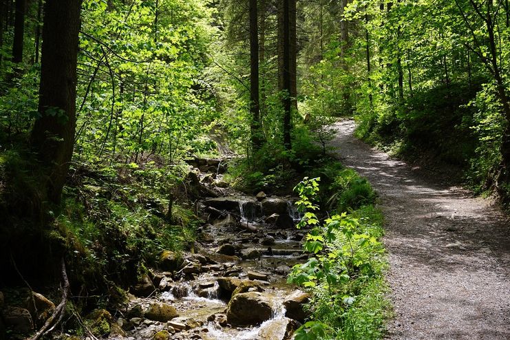 Logenplatz-Route Wasserfallweg