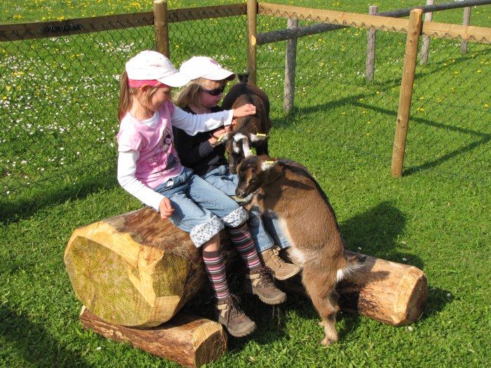 Kinder mit unseren Ziegen