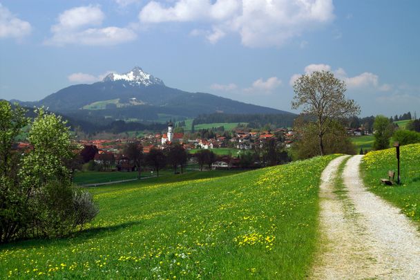 Zurück über den Imkerpfad mit Blick auf Grünten