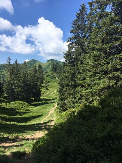 Blick zum Riedbergerhorn