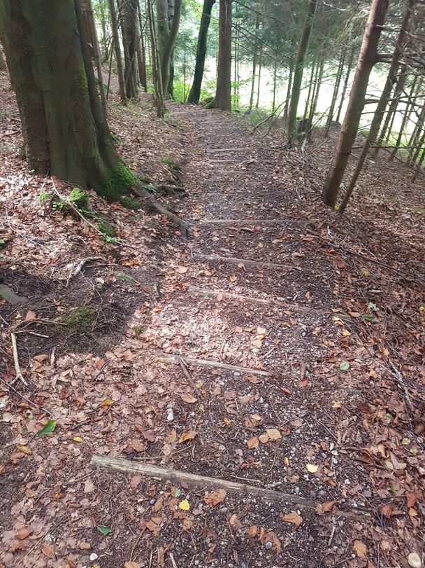 Kleiner Steig auf dem Weg zur Burgruine Hopfen