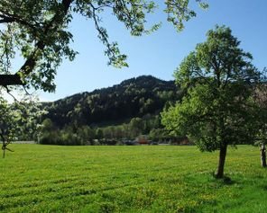 Ausblick Sommer