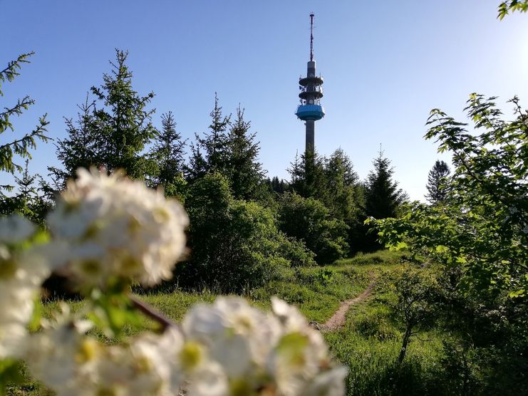 Blick auf den Fernmeldeturm