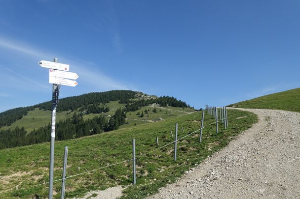 Wanderweg zum Breitenberg