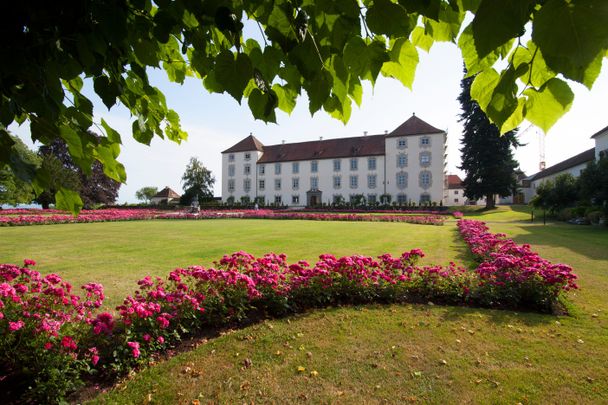 Rundwanderweg 13: Alpenblicktour und Schloss Zeil