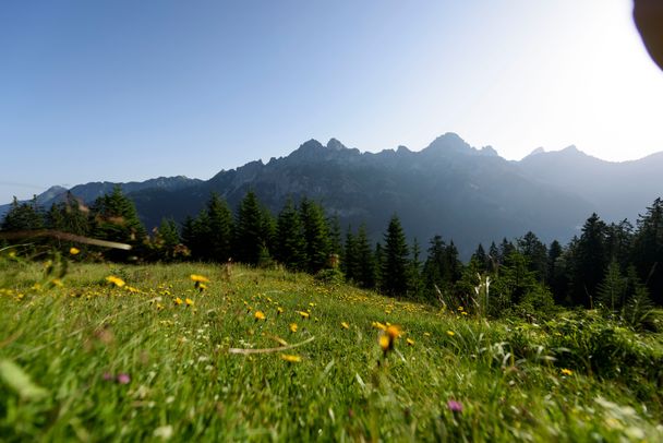 Schnitzerweg - Alpe Stubental - Panorama Höhenweg