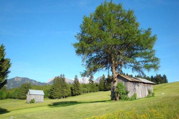 Auf dem Weg von Aumühle nach Maderhalm