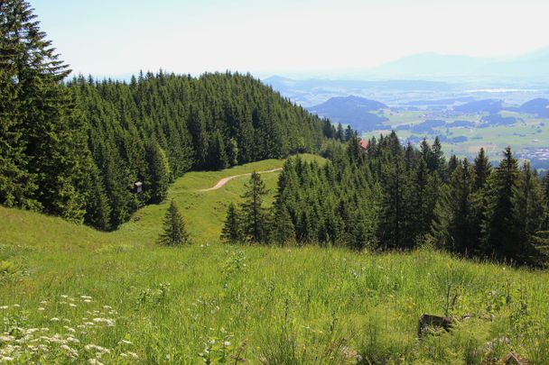 Blick zur Kappeler Alp