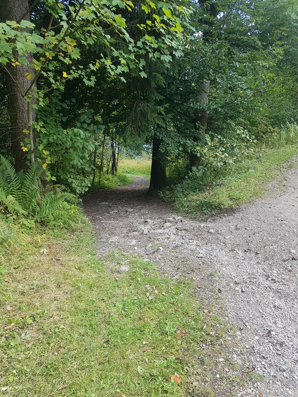 Wanderweg hinunter von der Burgruine nach Hopfen