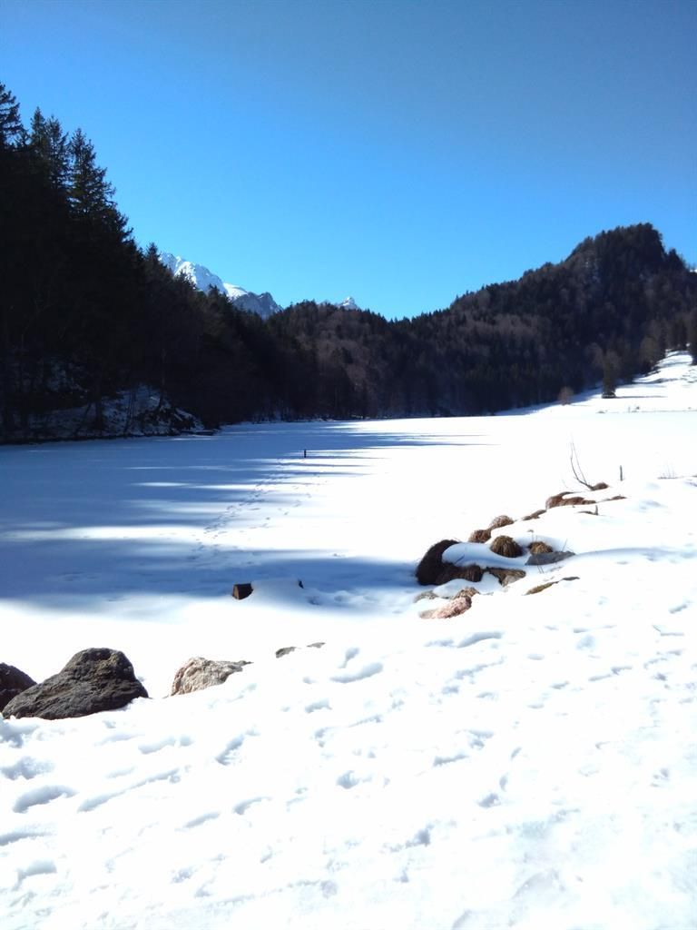 Alatsee im WInter