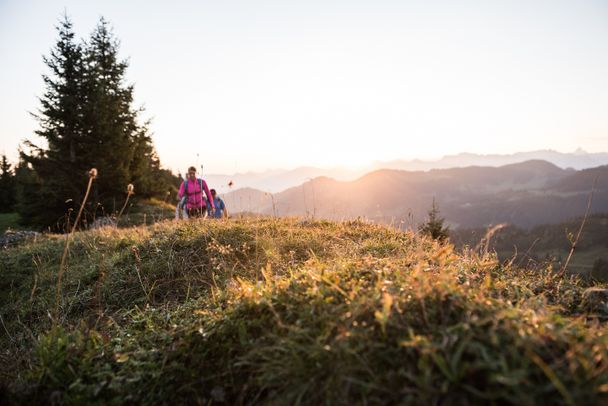 Auf unserer Route haben wir die Gelegenheit, die Natur des Allgäus zu erleben.