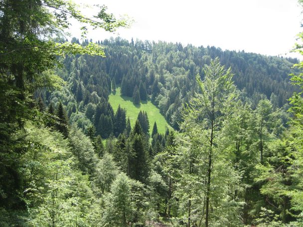 Taleinschnitt bei Geratsried