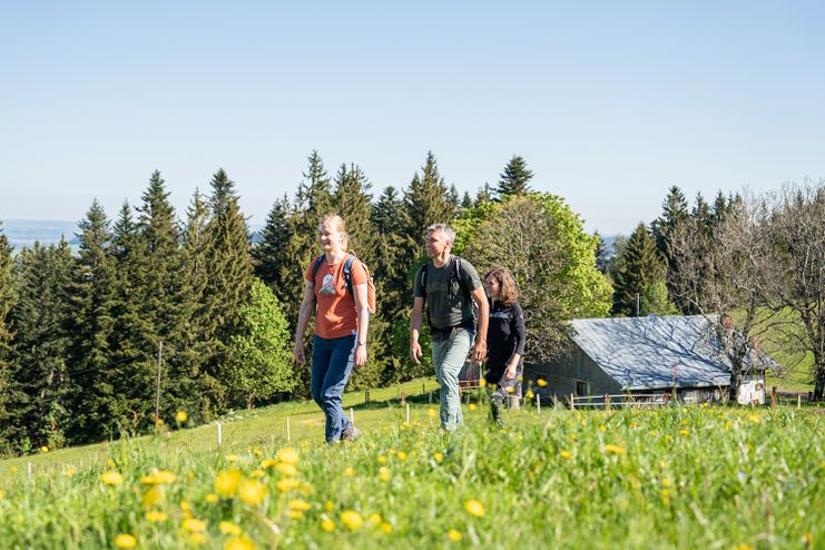 Frühlingswandern in Oberstaufen