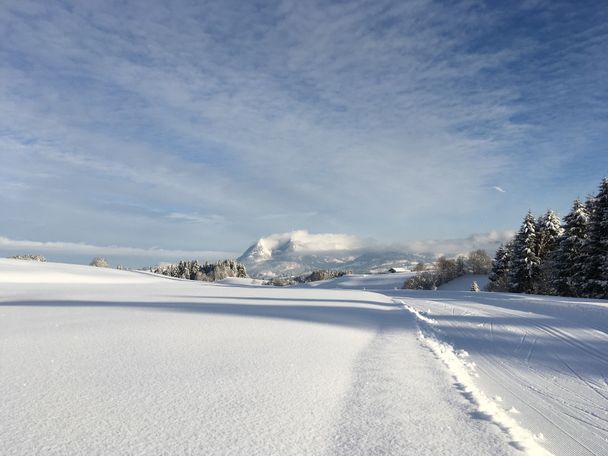 Untermühlegg Loipe - Langlaufen in Bolsterlang