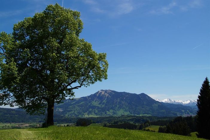 Grünten-Ausblick