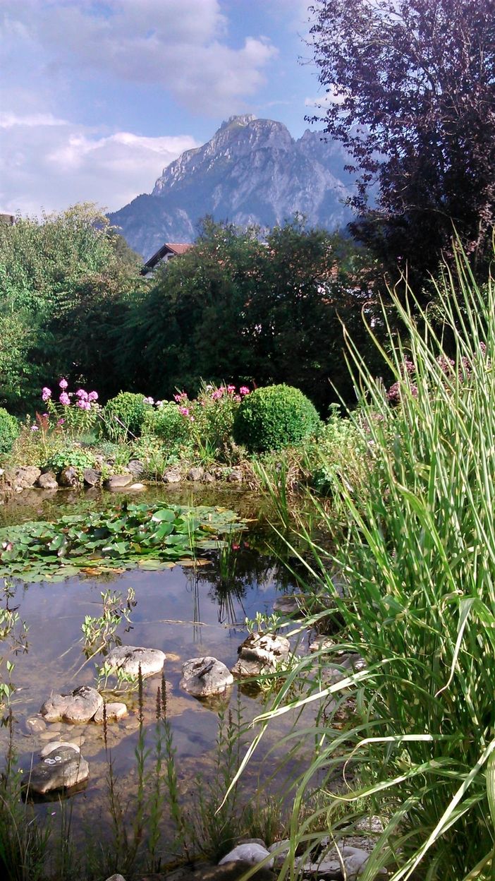 Blick auf Garten