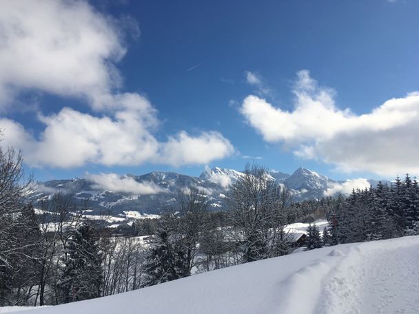 Ausblick auf die Allgäuer Alpen