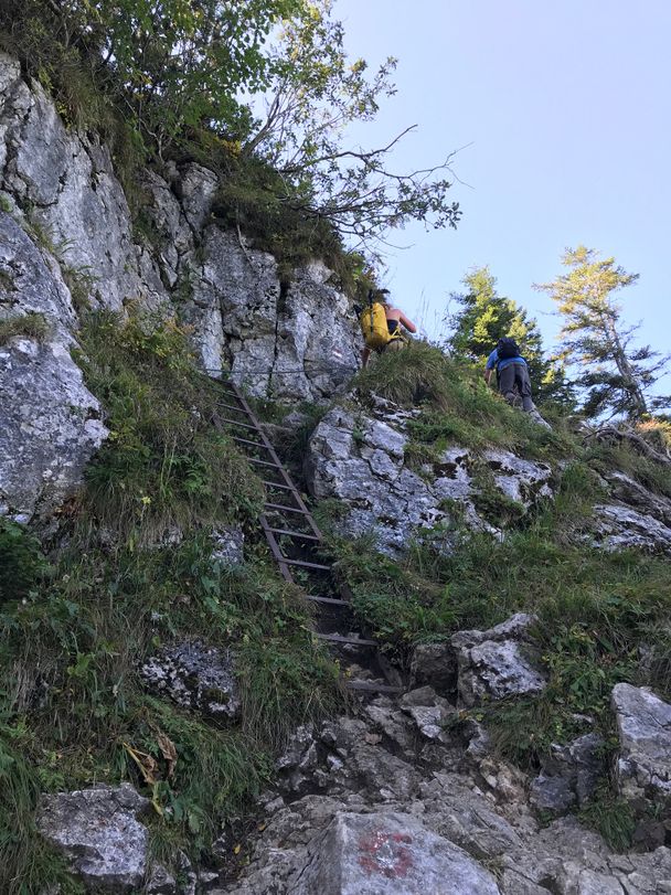 Eisenleiter am Einstieg zum felsigen Part des Weges zum Säuling