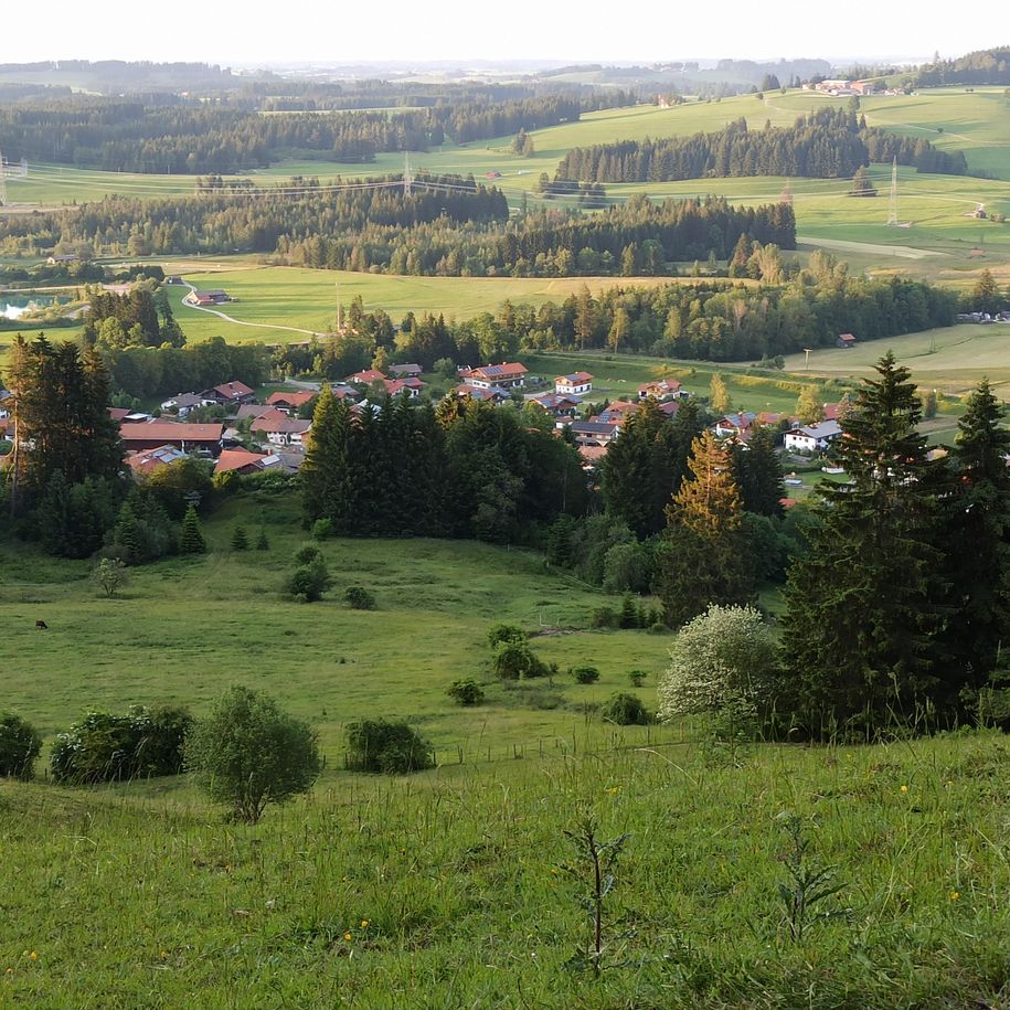 Blick von der Hündeleskopf Hütte auf Kappel