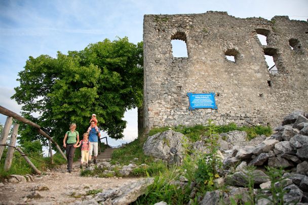 Burgruine Falkenstein