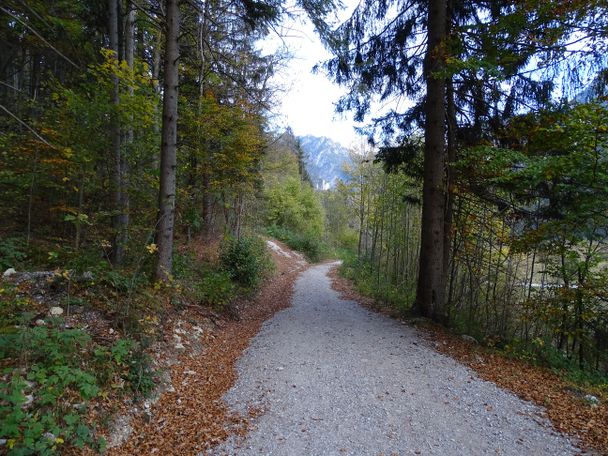 Fahrstraße hinunter zum Schwansee