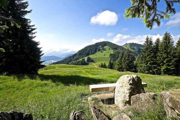 Aussicht genießen am Ofterschwanger Horn