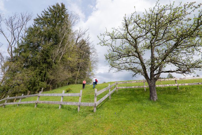 Entspannen in der grünen Oase