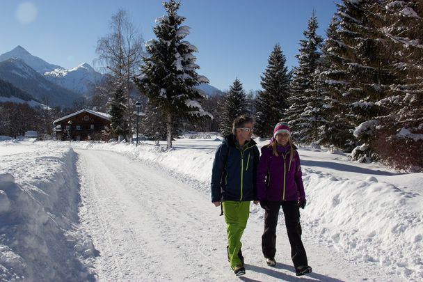 Rodelbahn Alpe Stubental