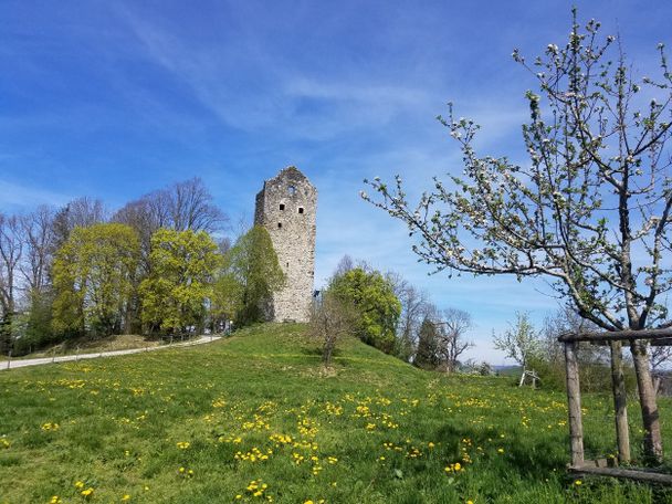 Die Burgruine oberhalb von Neuravensburg