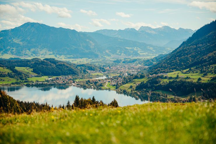 Blick auf den Alpsee