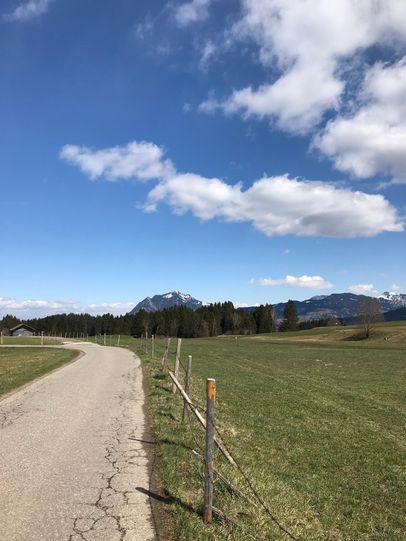 Blick auf den Grünten