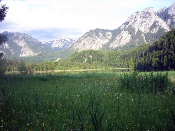 Oberhalb des Schwansees auf dem Alpenrosenweg