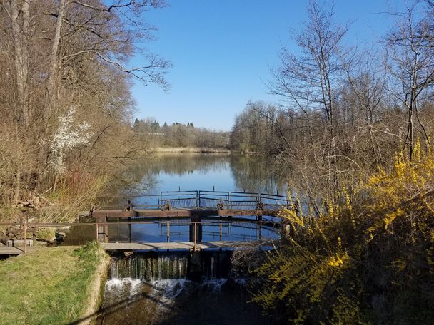 Beim Schießstattweiher