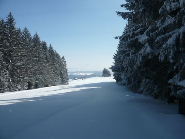 Winterlandschaft an der Loipe Eschach (5)