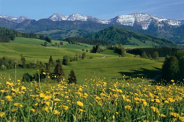 Blick auf die Nagelfluhkette