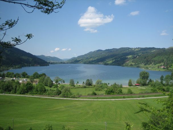 Aussichtspunkt Alpsee