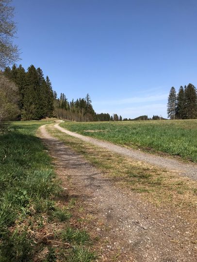 Die Teerstraße geht in einen Wiesenweg über